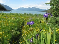 Chilkat State Park